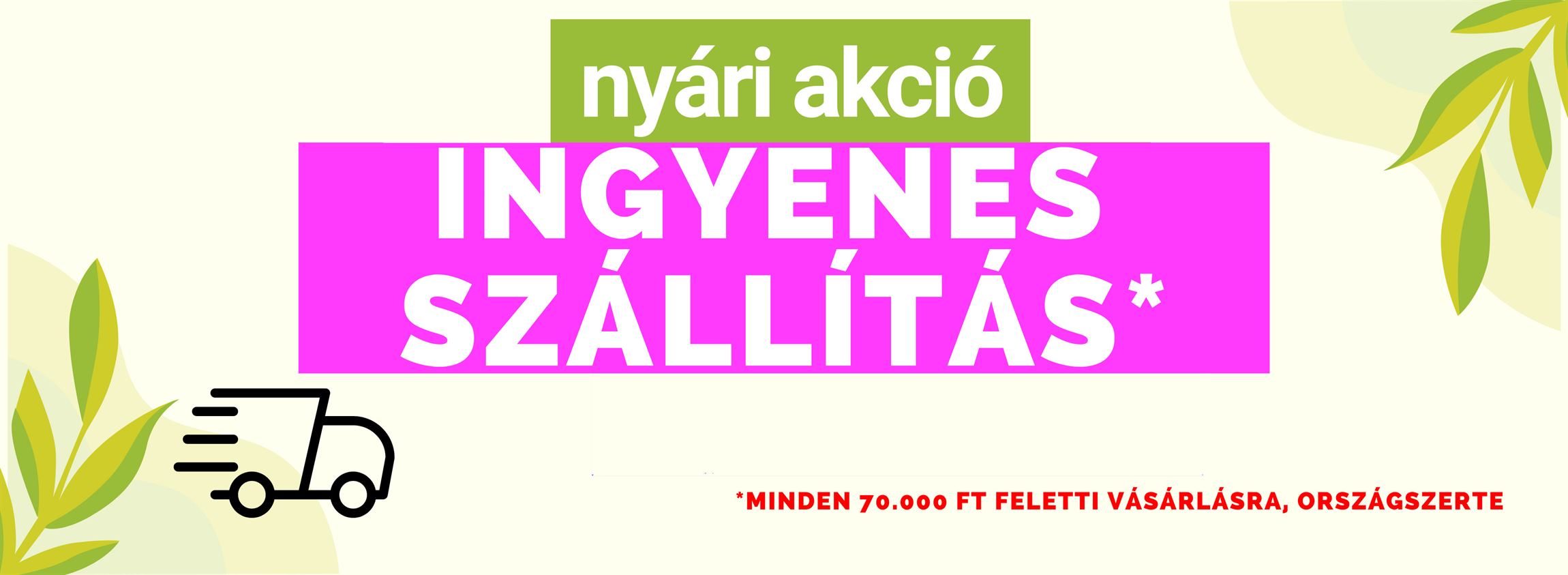 Ingyen szállítás akció!
